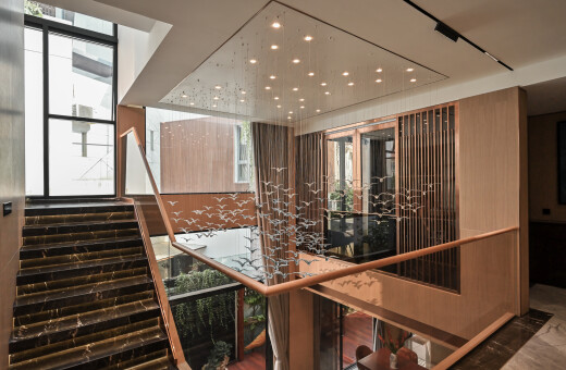 Khu rừng nhiệt đới thu nhỏ trong D'R House