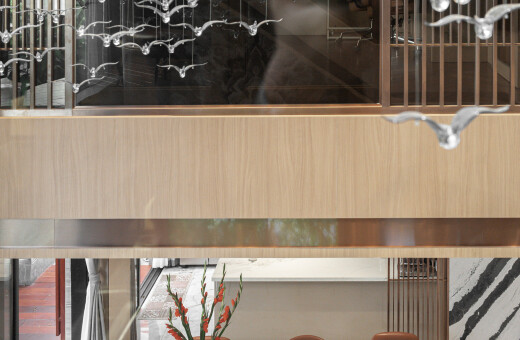 Khu rừng nhiệt đới thu nhỏ trong D'R House