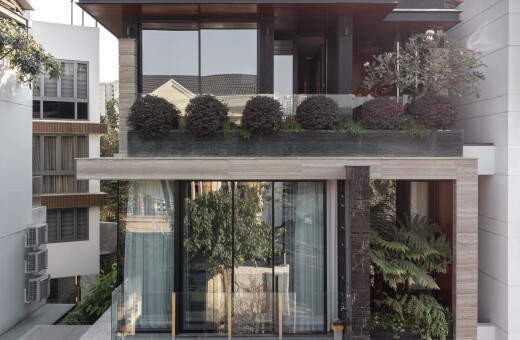 Khu rừng nhiệt đới thu nhỏ trong D'R House