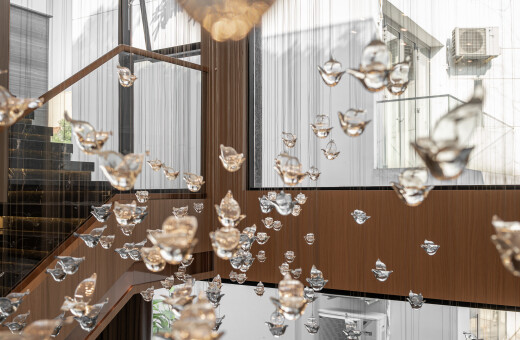 Khu rừng nhiệt đới thu nhỏ trong D'R House